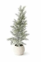 Mini Pinheiro de Natal Nevado Base Trançada 55cm Merita Mini Pinheiro de Natal Nevado Base Trançada 55cm Merita
