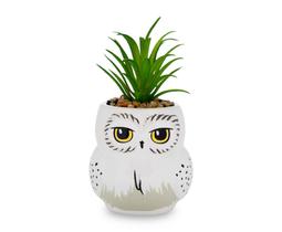 Mini plantador Silver Buffalo Harry Potter Hedwig com suculenta