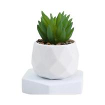 Mini Plantas Suculentas Artificiais Bonsai, Cactos Sempre Verdes, Decoração Falsa Em Plástico,