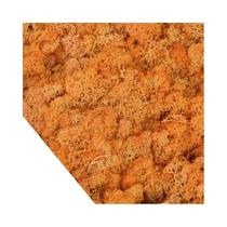 Mini Plantas Verdes Artificiais 20/40g Musgo Da Vida Eterna Artesanato DIY Grama Decoração Para Casa