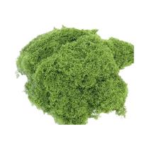 Mini Plantas Verdes Artificiais 300-30g Musgo De Vida Eterna Grama Falsa Decoração De Jardim E Casa