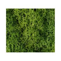 Mini Plantas Verdes Artificiais, Musgo Da Vida Eterna, Decoração De Jardim DIY, Grama Falsa Para