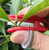 Mini Podador De Plantas De Polegar Jardinagem Frutas Colheita