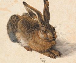 MINI PORTAS MOEDAS Albrecht Dürer "Lebre" Coleção grandes artistas