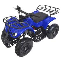 Mini Quadriciclo Infantil Gasolina Atv 49CC 2T Partida Elétrica Cross Off Road Azul Importway