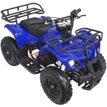 Mini Quadriciclo Infantil Gasolina Atv 49CC 2T Partida Elétrica Cross Off Road Azul Importway