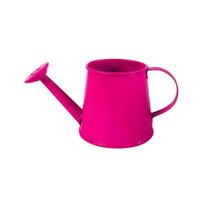 Mini Regador de Aluminio para Decoração