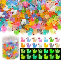 Mini Resin Ducks GWAHSA Luminous 240 unidades para decoração de casa de bonecas