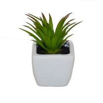 Mini Suculenta Artificial Realista Vaso Louça 10cm