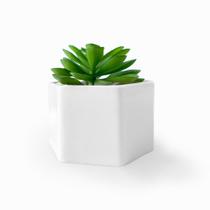 Mini Suculenta Artificial Vaso Cerâmica Branco - ALPSU01