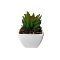 Mini Suculenta Artificial Vaso de Plástico Branco