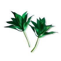 Mini Suculenta Decorativa Planta Artificial Verde - NS