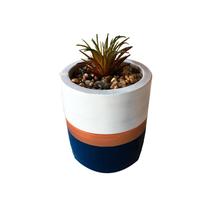 Mini Suculenta Planta Vaso Decoração Sala Quarto Banheiro - NS