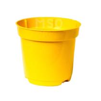 mini Vasinhos plástico Coloridos Pote 6 De 80ml Castos E Suculentas - 30 unidades