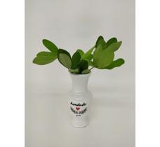 Mini vaso alto BONDADE Mini vaso alto BONDADE