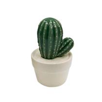 Mini Vaso De Cerâmica Cactus Pringlei Verde E Branco - Urban