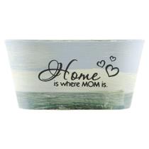 Mini Vaso De Planta Cachepot Estampado Decorado 9cm