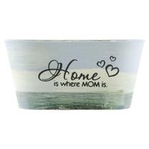 Mini Vaso De Planta Cachepot Estampado Decorado 9cm Mini Vaso De Planta Cachepot Estampado Decorado 9cm