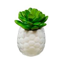 Mini Vaso De Porcelana Branco C/ Suculenta Hives Betty - Urban