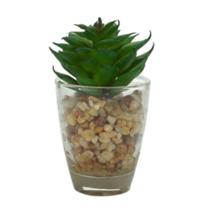 Mini vaso de vidro little rocks com planta verde 44584 - 4,5x4,5x8,5cm - Urban