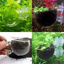 Mini Vaso de vidro para planta Aquática Aquário Plantado