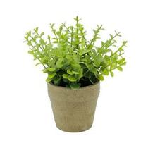 MINI VASO PAPEL SEDUM SUCULLENT VERDE 15X15X16,5cm