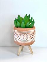 Mini vaso Suculenta Mini vaso Suculenta