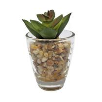 Mini vaso uban little rocks verde com planta 8x 8x 5 cm. - Urban