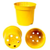 Mini vasos Pequenos Coloridos Pote 6 De 80ml Mudas de cactos e suculentas - 200 unidades - MSPAISAGISMO