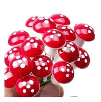 Miniatura 10 Cogumelos - Terrário Mini Jardim Vaso Decoração