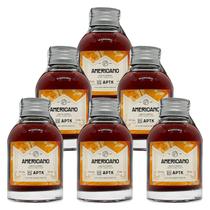 Miniatura Drink Americano APTK Spirits 100ml 6 Unidades