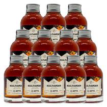 Miniatura Drink Boulevardier APTK Spirits 100ml 12 Unidades