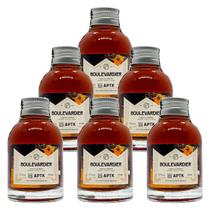 Miniatura Drink Boulevardier APTK Spirits 100ml 6 Unidades