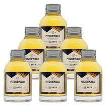 Miniatura Drink Fitzgerald APTK Spirits 100ml 6 Unidades