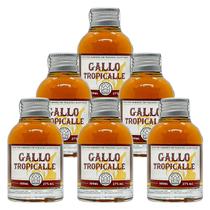 Miniatura Drink Gallo Tropicalle APTK Spirits 100ml 6un Miniatura Drink Gallo Tropicalle APTK Spirits 100ml 6un