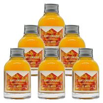 Miniatura Drink Sur L'Orange APTK Spirits 100ml 6 Unidades
