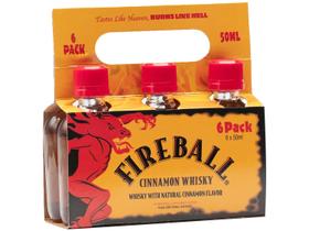 Miniatura Licor de Canela e Whisky Fireball 50ml 6 Unidades
