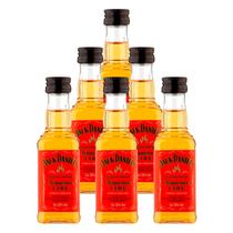 Miniatura Whisky de Canela Jack Daniel's Fire 50ml 6un