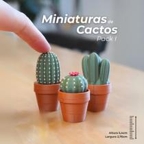 Miniaturas Kit 3 Vasinhos Suculentas Cactos Bonsai Plantas Artificial Miniaturas Colecionável