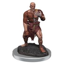 Miniaturas WizKids D&D Nolzur's Marvelous Flesh Golems x2 Miniaturas WizKids D&D Nolzur's Marvelous Flesh Golems x2