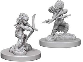 Miniaturas WizKids Pathfinder Deep Cuts Feminina Sem Pintura Gnome Rogue x2