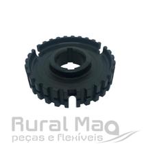 Miolo entalhado-05200530