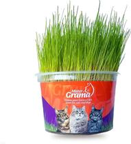 Mister grama - para cães e gatos