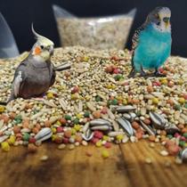 Mistura Calopsita Periquito Agaporne 10kg Passaro Sementes Energia