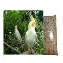 Mistura Calopsita Ração Periquito Agaporne 1,3 ou 5 Kg Pássaro Sementes Mistura Calopsita Ração Periquito Agaporne 1,3 ou 5 Kg Pássaro Sementes