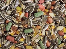 Mistura de Papagaio 10 Kg Mistura de Papagaio 10 Kg