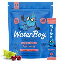 Mistura em pó de eletrólitos Waterboy Weekend Recovery