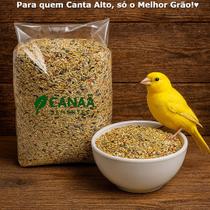 Mistura Ração Para Canário Natural Super Premium 10kg Mel Digestão Fibras Nutrição Saúde Sabor Mistura Ração Para Canário Natural Super Premium 10kg Mel Digestão Fibras Nutrição Saúde Sabor