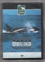 Mitos E Verdades Sobre As Orcas Baleias Assassinas DVD - Discovery