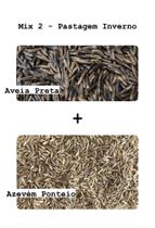 Mix 2 - Pastagem Inverno - 5KG de Sementes Mix 2 - Pastagem Inverno - 5KG de Sementes